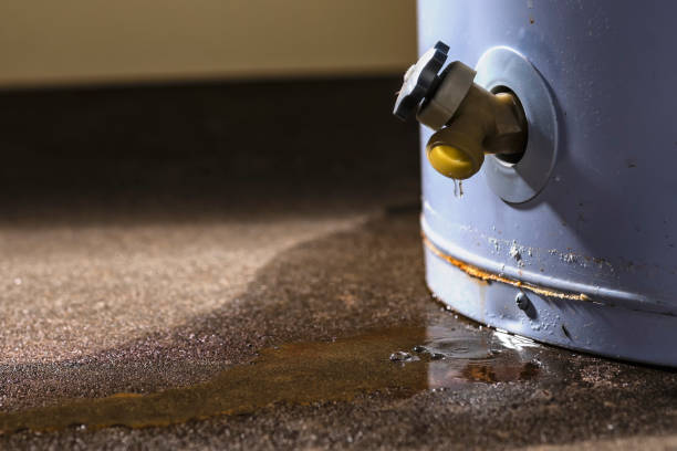 Best Ceiling water damage repair  in Lake City, SC