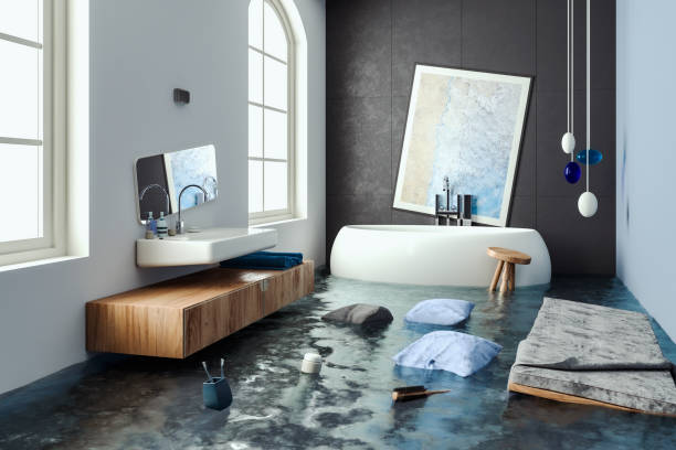 Best Water damage contractors near me  in Lake City, SC