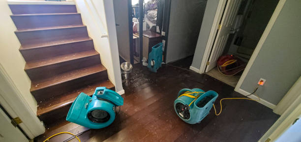 Best Fire Damage Restoration  in Lake City, SC