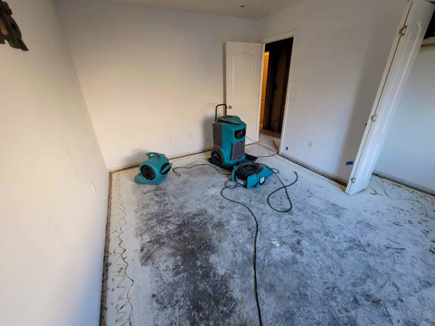 Best Water damage cleanup near me  in Lake City, SC