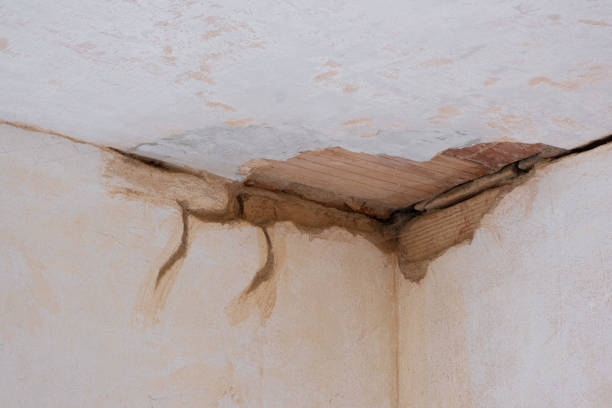 Best Water damage restoration near me  in Lake City, SC