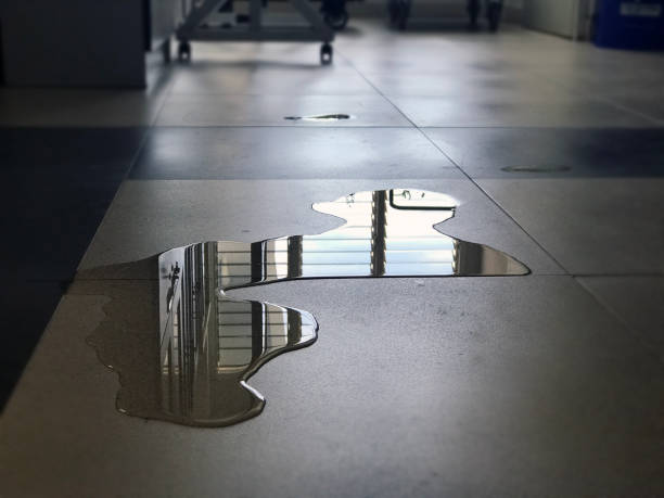 Best 24-hour water damage restoration  in Lake City, SC