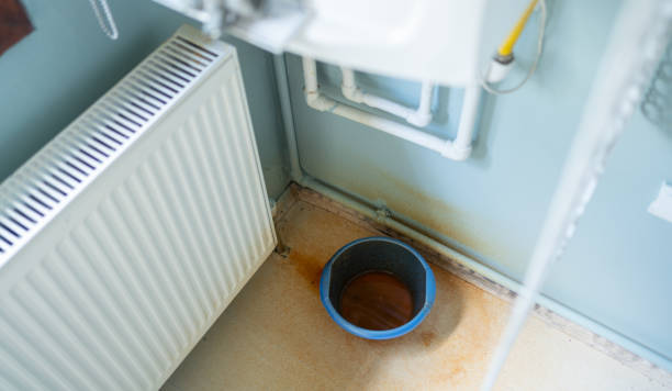 Best Water damage restoration specialists  in Lake City, SC
