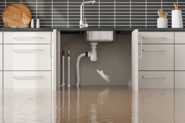 Best 24/7 water damage repair  in Lake City, SC