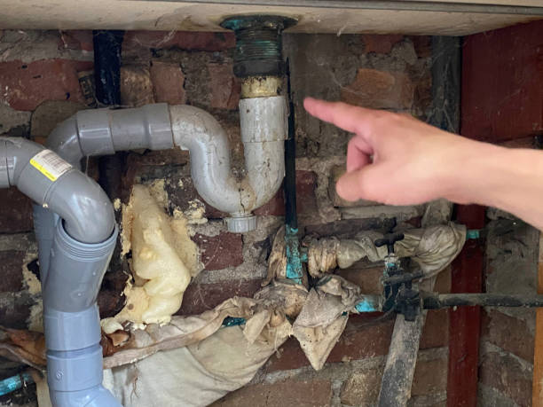 Best Flood damage cleanup  in Lake City, SC